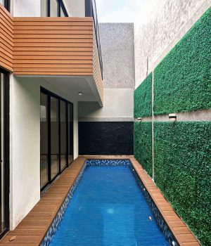 WhatsApp-Image-2025-02-11-at-12.24.07-(2)